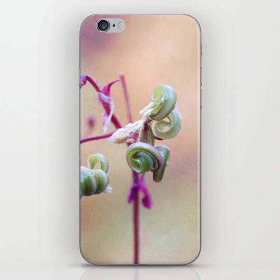 Curls iPhone & iPod Skin