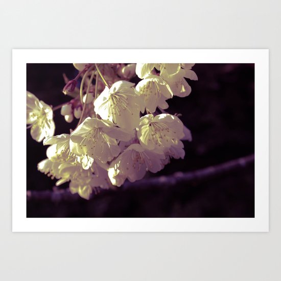 Blossom Art Print