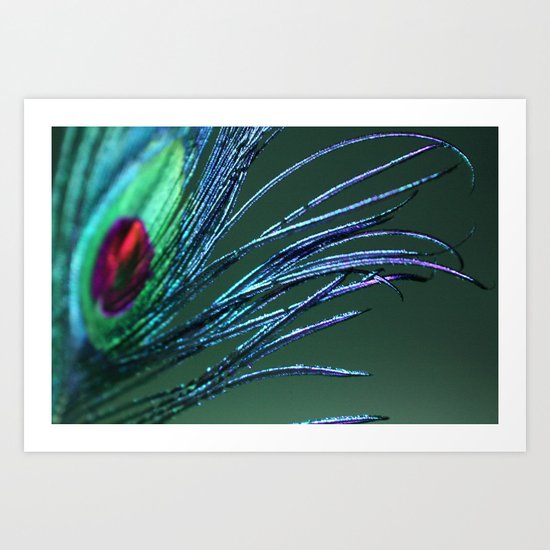 Peacock Feather Art Print