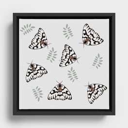 Swirl Moth Pattern  Framed Canvas