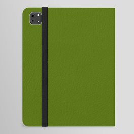 Over the Hill Green iPad Folio Case