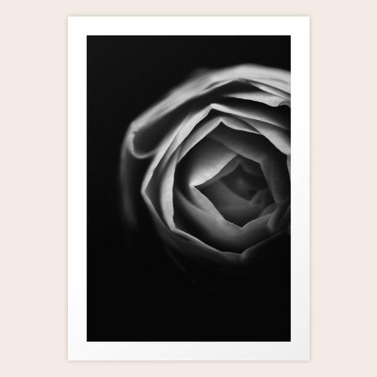 Pfingstrose Art Print