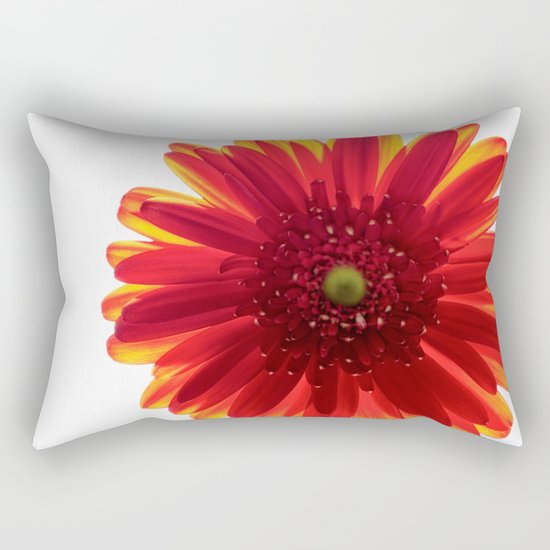 Red Macro Photo Daisy Rectangular Pillow