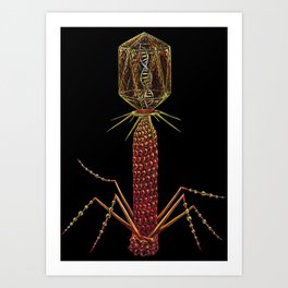 Bacteriophage Virus Art Print