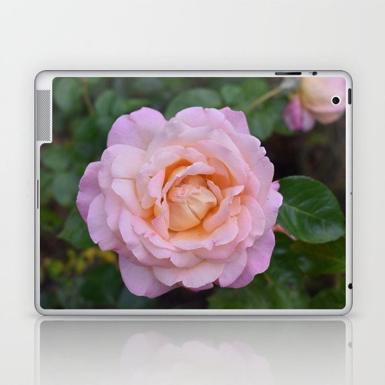 Rose Bloom Laptop & iPad Skin