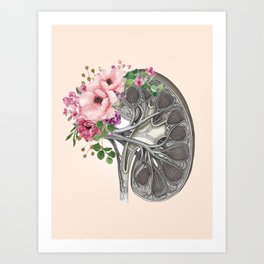 Kidney section and floral roses, Roses: the fragrant symbols of love and renal health! Art Print