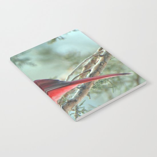 Dreamy Morning (Northern Cardinal) Notebook