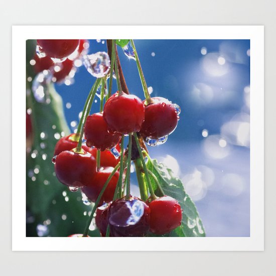 Summer rain on cherries Art Print