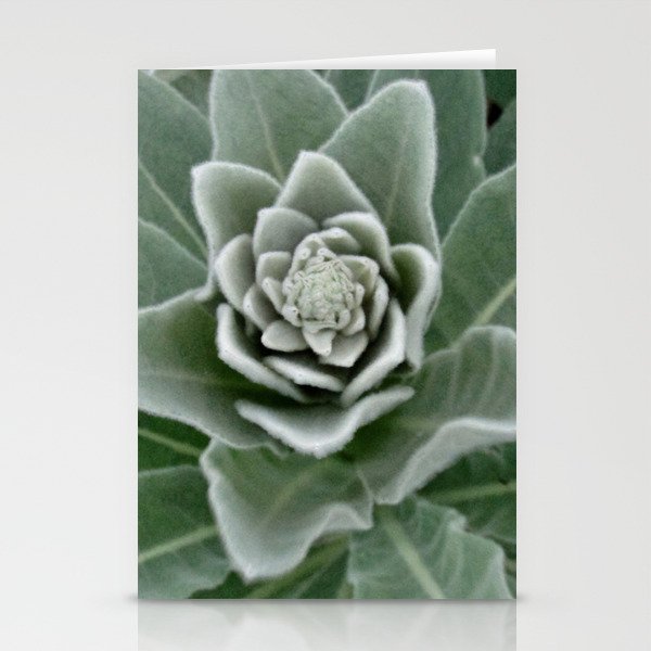 Golden Ratio in a Wild Weed Stationery Cards