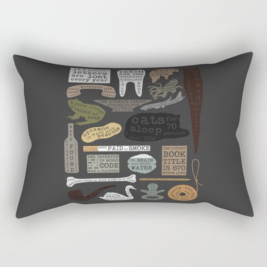 22 Facts - Useful Facts Rectangular Pillow