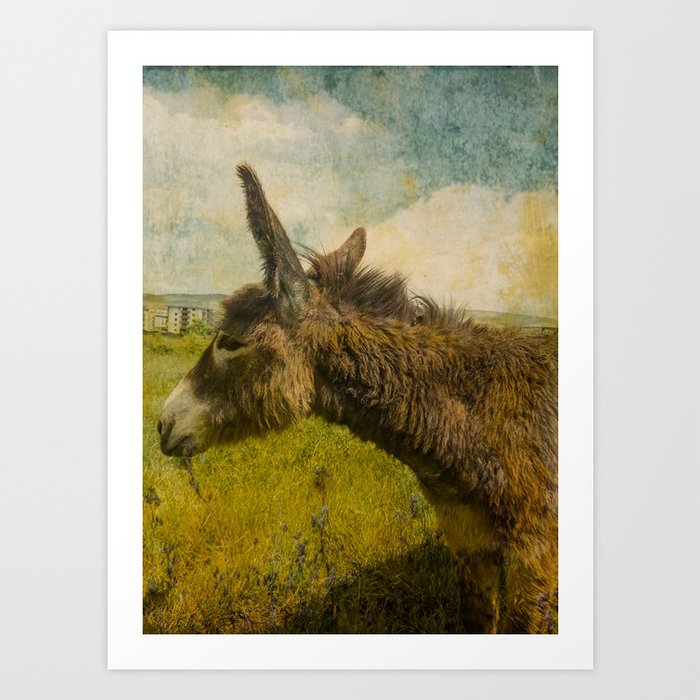 Vintage  cute brown donkey colt on the field Art Print
