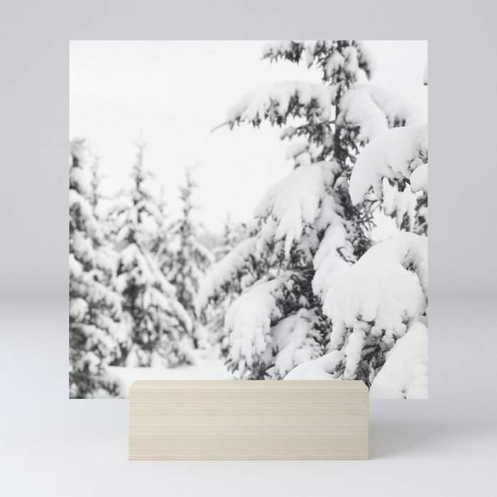 White winter Mini Art Print