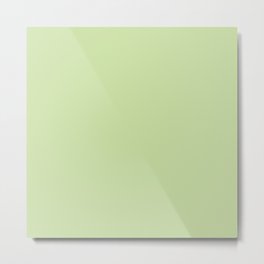 Modern stylish mint green solid color Metal Print