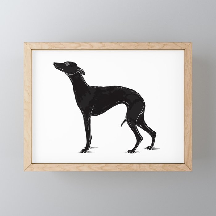 Mini whippet best sale