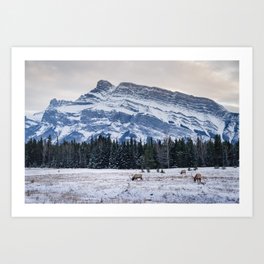 Banff National Park landscape Art Print
