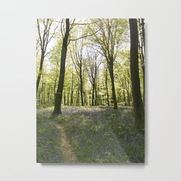 Deep in Micheldever Wood Metal Print | Micheldeverwood, Wildflowers, Beautiful, Digital, Spring, Landscape, Nature, Hampshire, Seasons, Colourful 