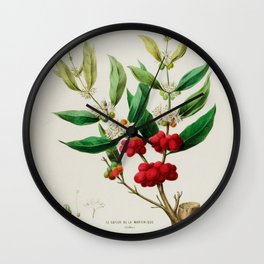Coffee plant by Étienne Denisse from "Flore d'Amérique" (1843)  Wall Clock | Coffee, Red, Plants, Antique, Naturalhistory, Vintage, Flowers, Botany, Painting 