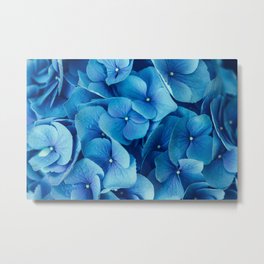 French Blue Metal Print | Floralart, Floralpattern, Pattern, Hydrangeaart, Frenchcountrydecor, Natureprints, Bluedecor, Blue, Hydrangea, Photo 