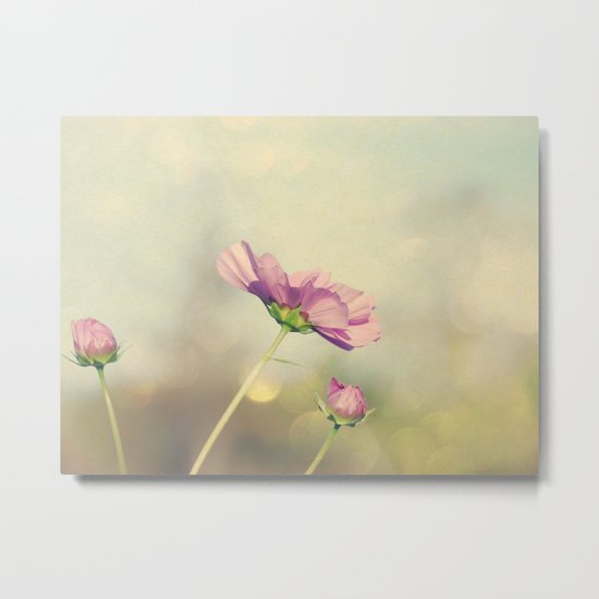 Cosmos in the Pink II Metal Print