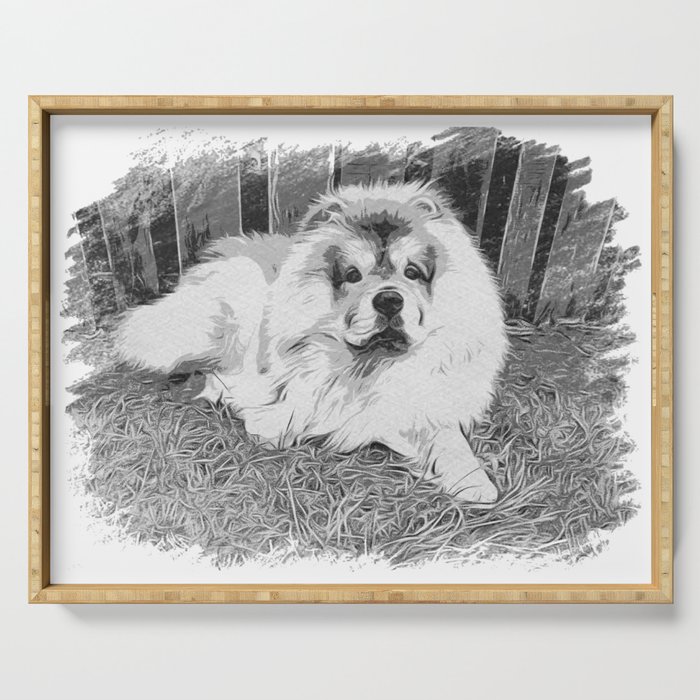 Chow chow  beautiful lion dog Serving Tray