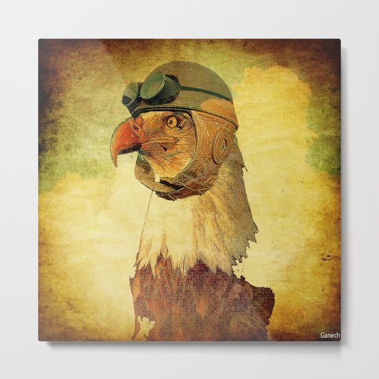 Captain eagle Metal Print