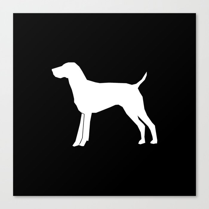 German Shorthair Pointer dog breed pet portraits dog ...