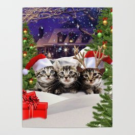 Christmas Cat Kitten Poster
