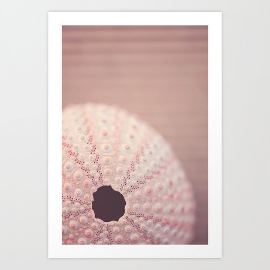 pink urchin Art Print