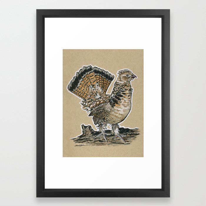 State Bird Series Pennsylvania Ruffed Grouse Framed Art Print By Theartingsofme Society6