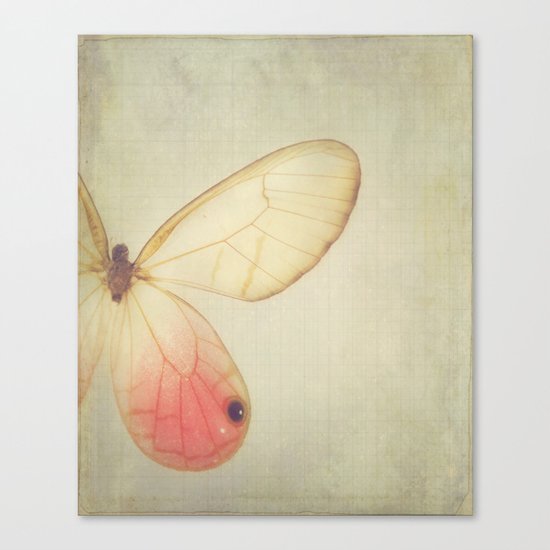 Wings Canvas Print
