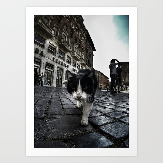 Street Cat Art Print