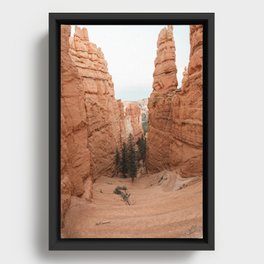 Bryce Canyon Framed Canvas