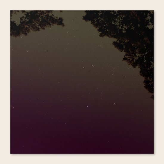 Tonight Canvas Print