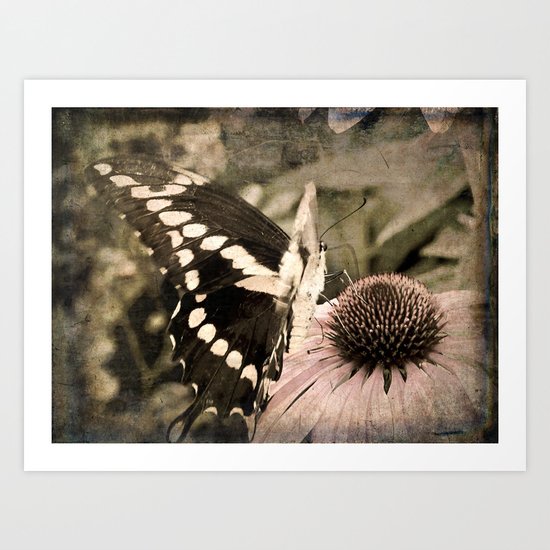 summer's lull {no.2 Art Print