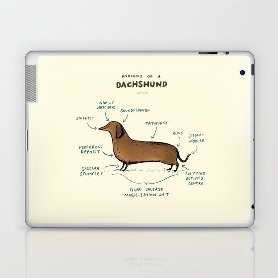 Anatomy of a Dachshund Laptop & iPad Skin