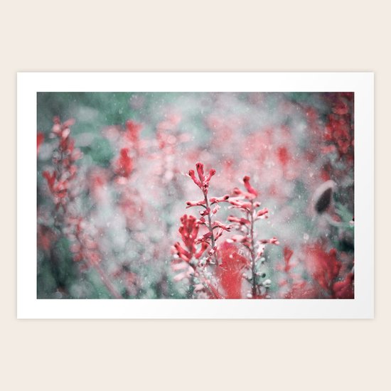Distant Dreams Art Print