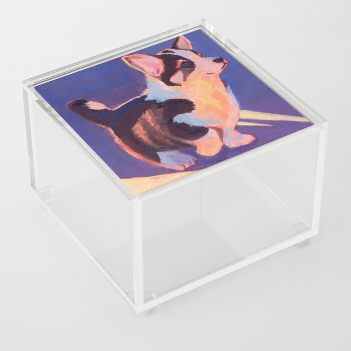 Sunlit Acrylic Box