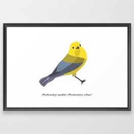 River Bird: Prothonotary Warbler Framed Art Print