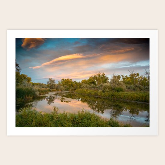 Glade Art Print