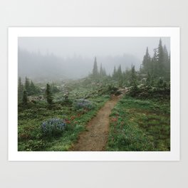 Washington Wildflower Fog Art Print