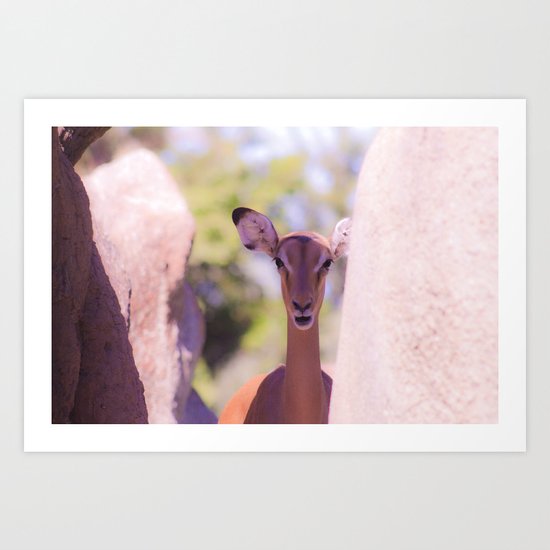 Eland Art Print
