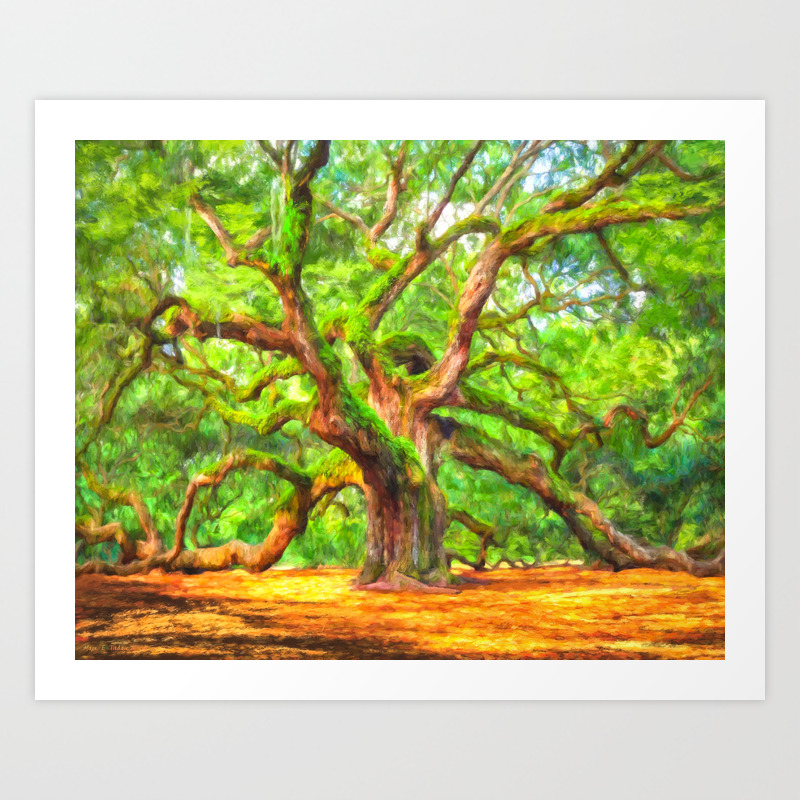Angel Oak Tree Charleston South Carolina Area Landmark Art Print