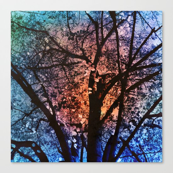 Autumn Sunset Canvas Print