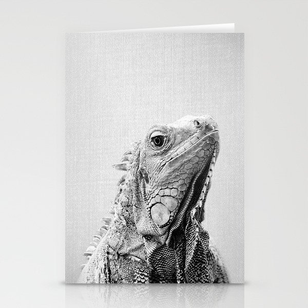 Iguana - Black & White Stationery Cards