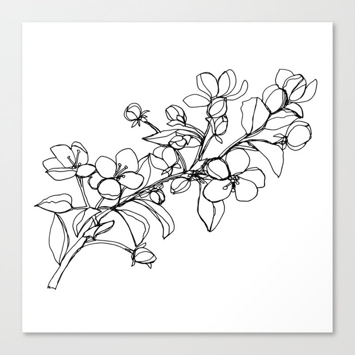 Apple Blossoms A Continuous Line Drawing Canvas Print By Kendra Shedenhelm Society6 Apple Blossoms A Continuous Line Drawing Canvas Print By Kendra Shedenhelm Society6