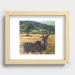 Kudu Recessed Framed Print