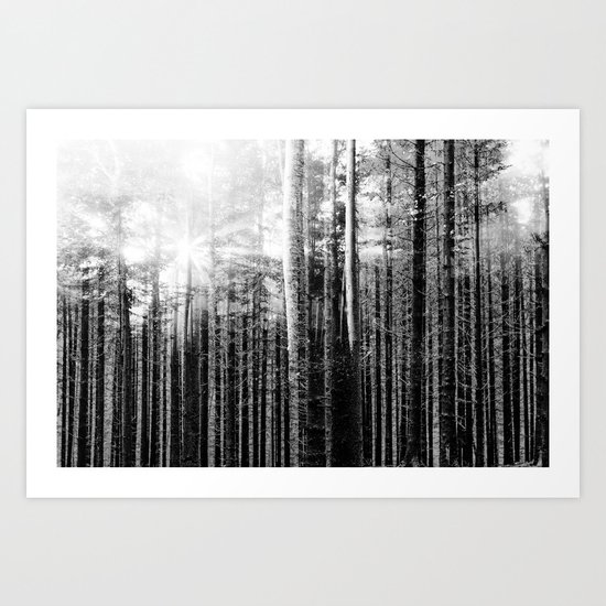 Forest V Art Print