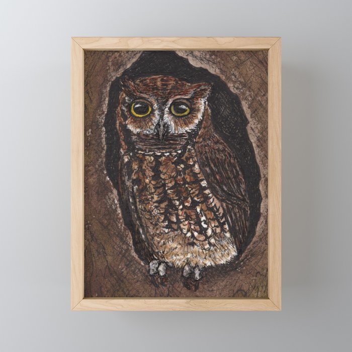 Eastern Screech Owl Color Framed Mini Art Print