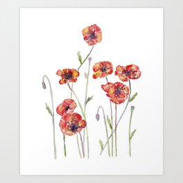 Red poppy flower field Painting Abstract Watercolor Print Kitchen Wall Poster Illustration Living Room Art, Gift for Women botanical Meadow Art Print