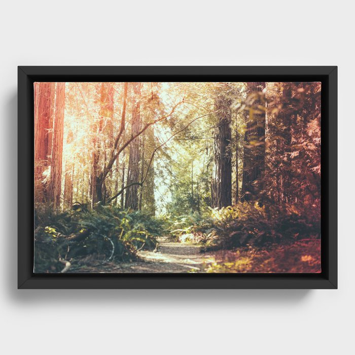 Framed Canvas
